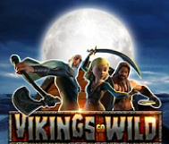 Wikinger werden wild 